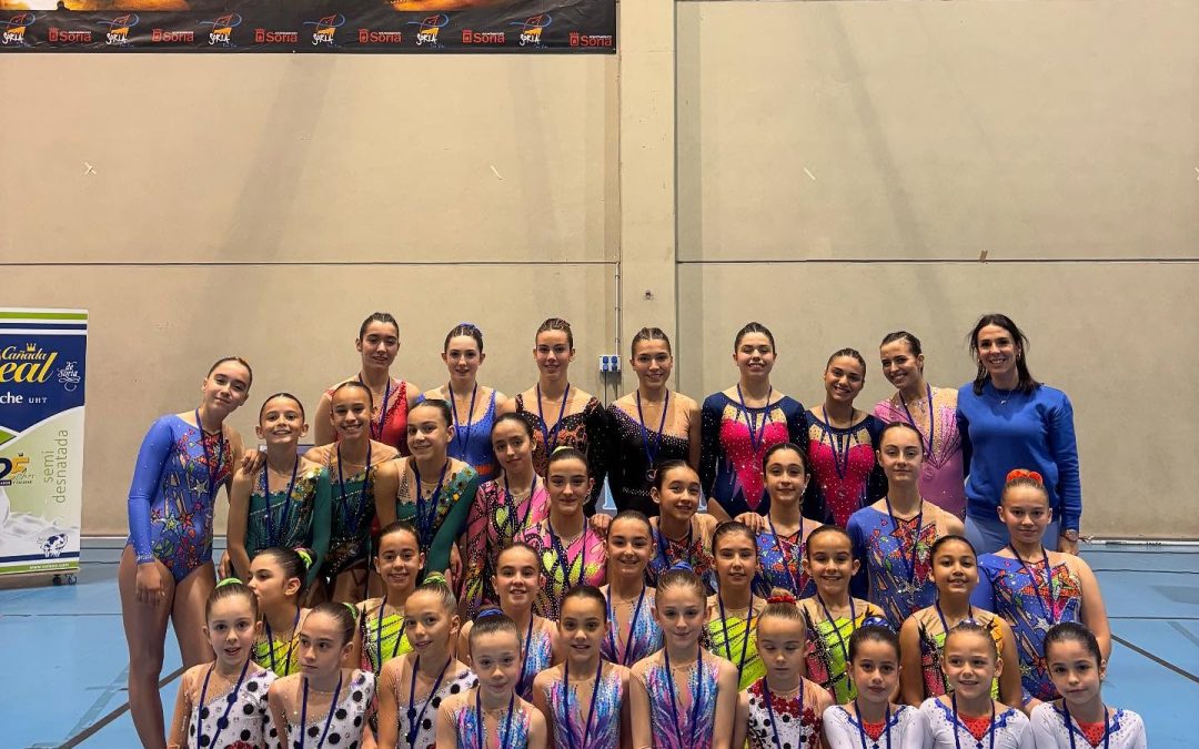 Aerobics VS 2.0 participa en el X Torneo Gimnasia Soria